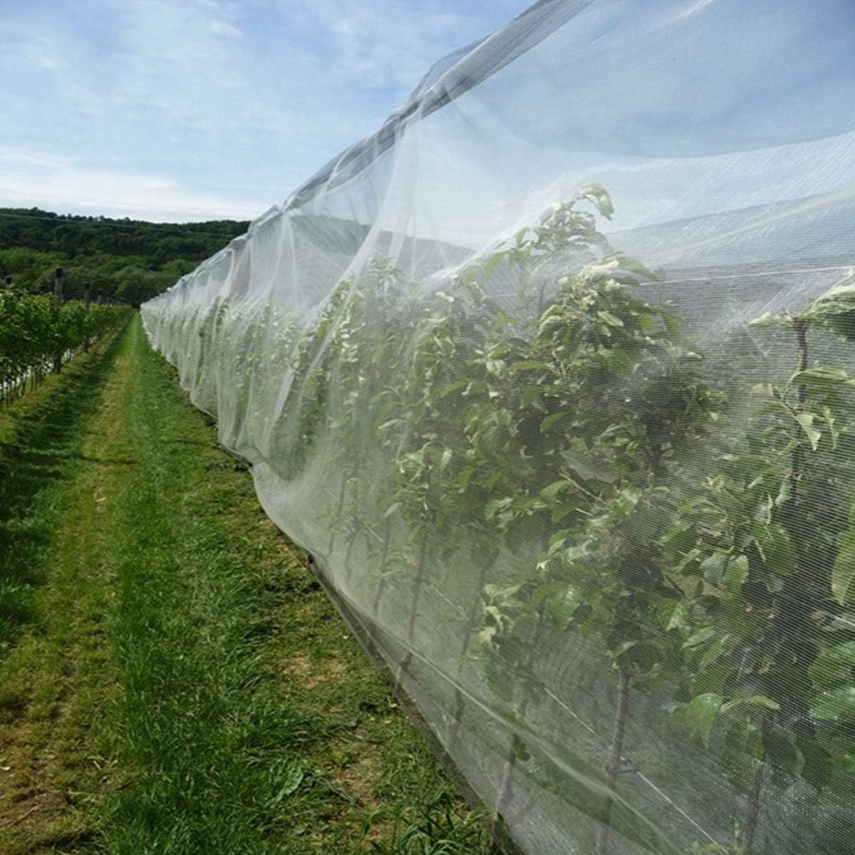 Versatile 10ft x 10ft Ultra Fine Mesh Plant Covers for Gardens & Greenhouses