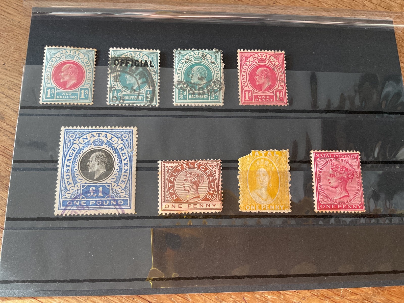 Natal mounted mint or used  stamps  B1482
