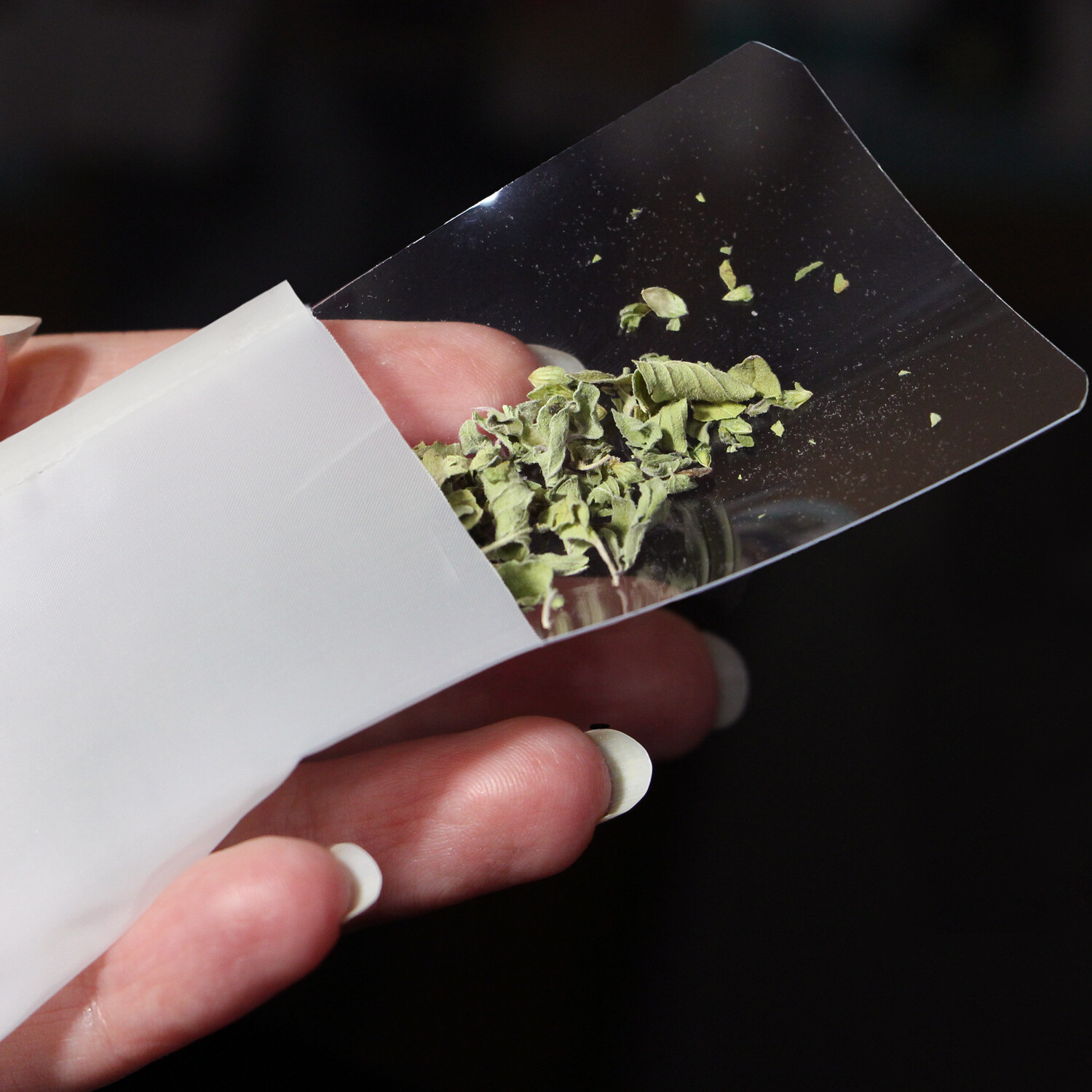 Dulytek Premium Nylon Filter Bags, 2" x 3" - 25 / 100 / 160 Micron Mesh