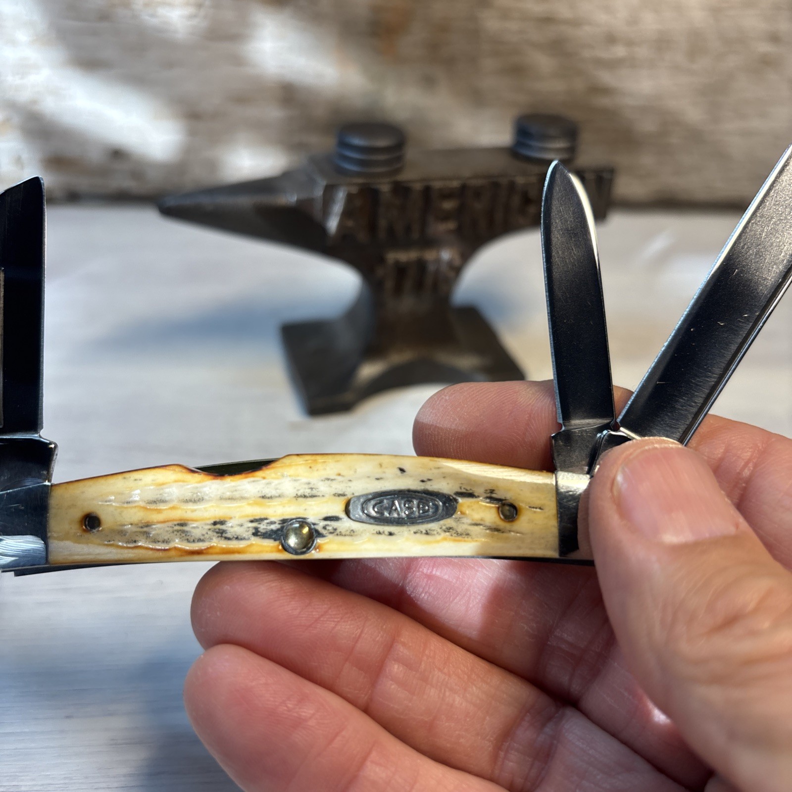 Case XX SC64052 1993 4 Blade Congress Pocket Knife Second Cut Bone Stag