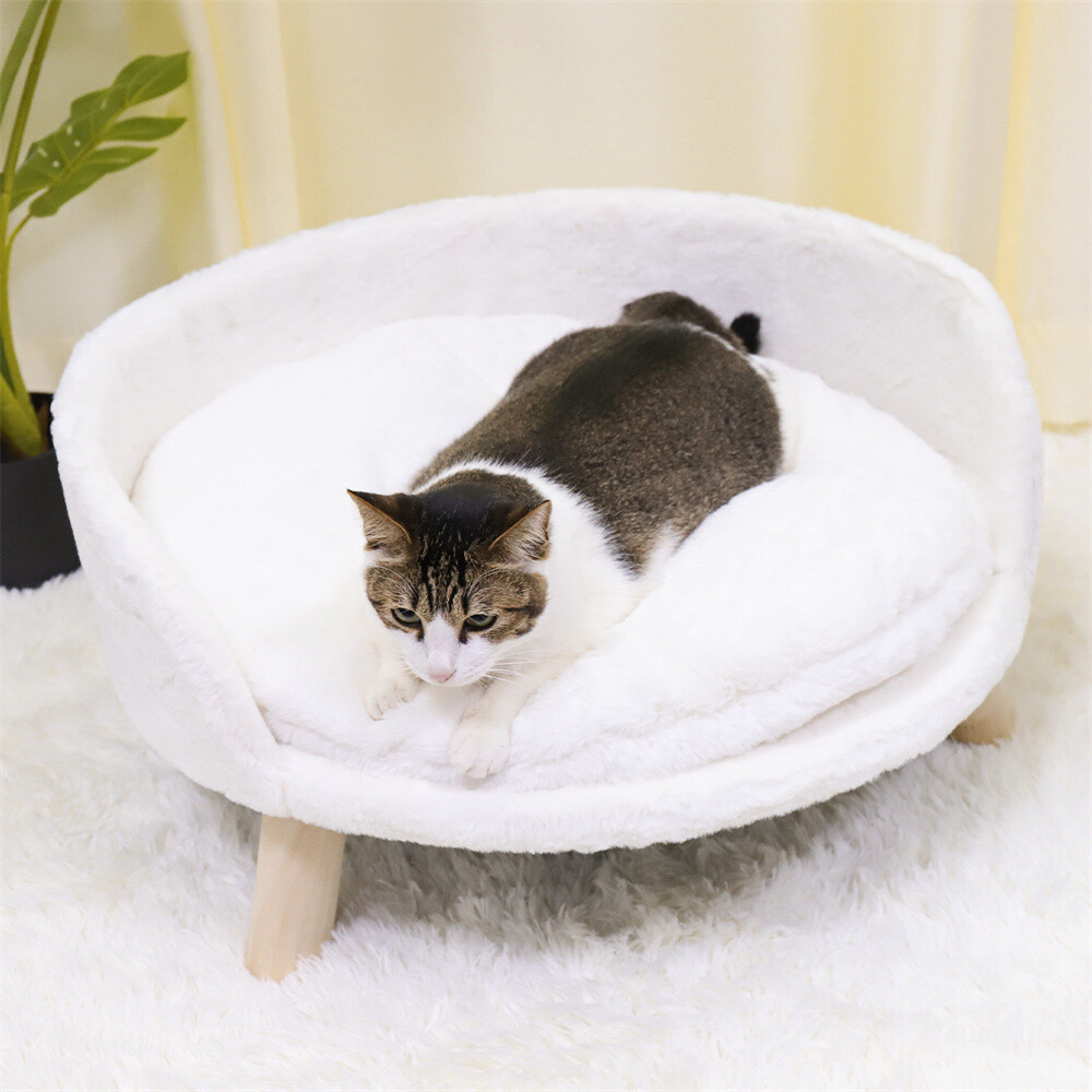 Modern Pet Sofa Low Back Lounging Bed With Removable Cushion Pillow For Dog Cat