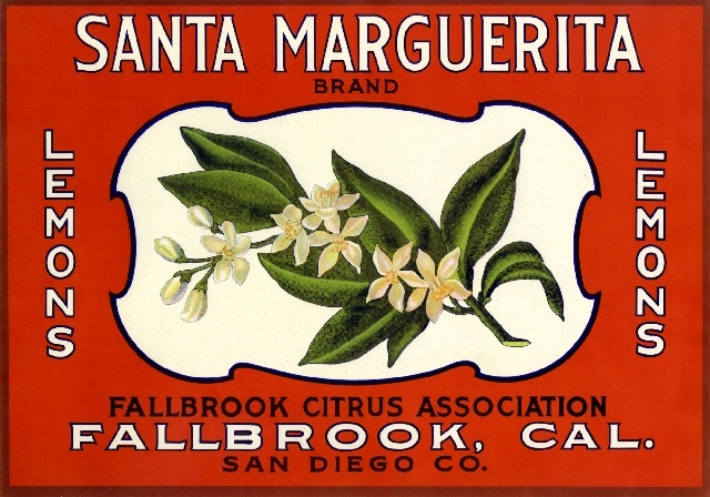 Fallbrook San Diego Santa Marguerita Lemon Citrus Fruit Crate Label Art Print