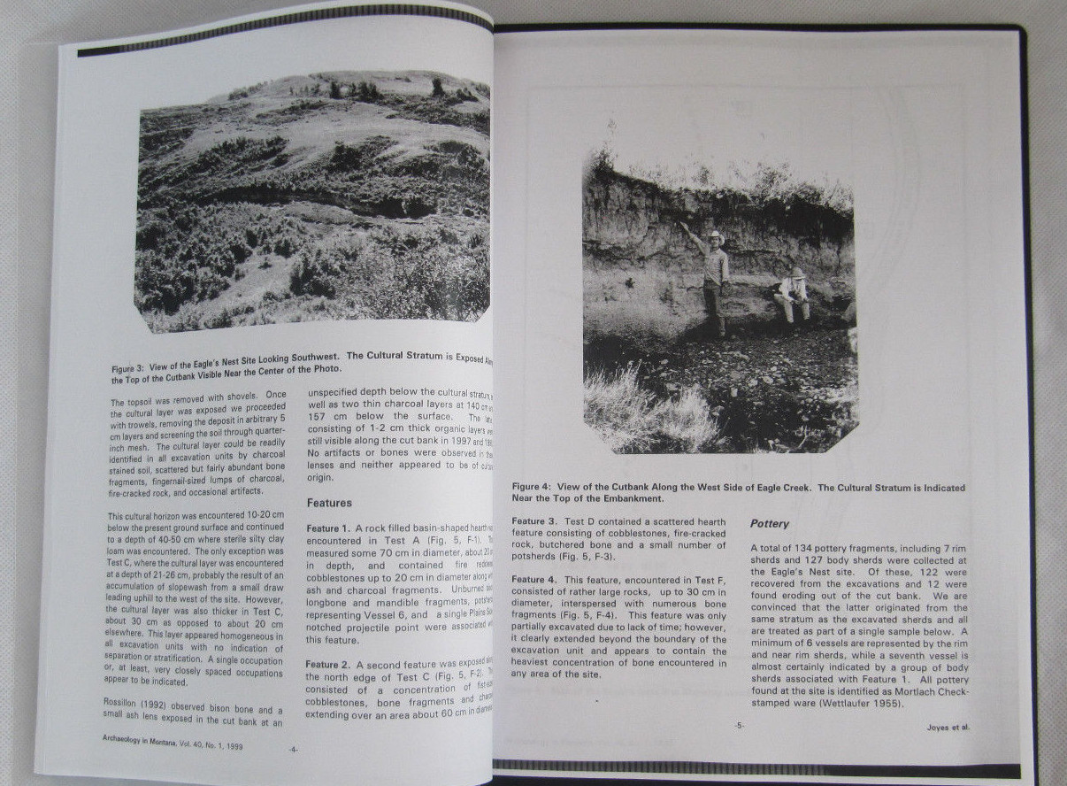 Buffalo Skull Bison Native American Natural History Old Fossil Artifact Decor