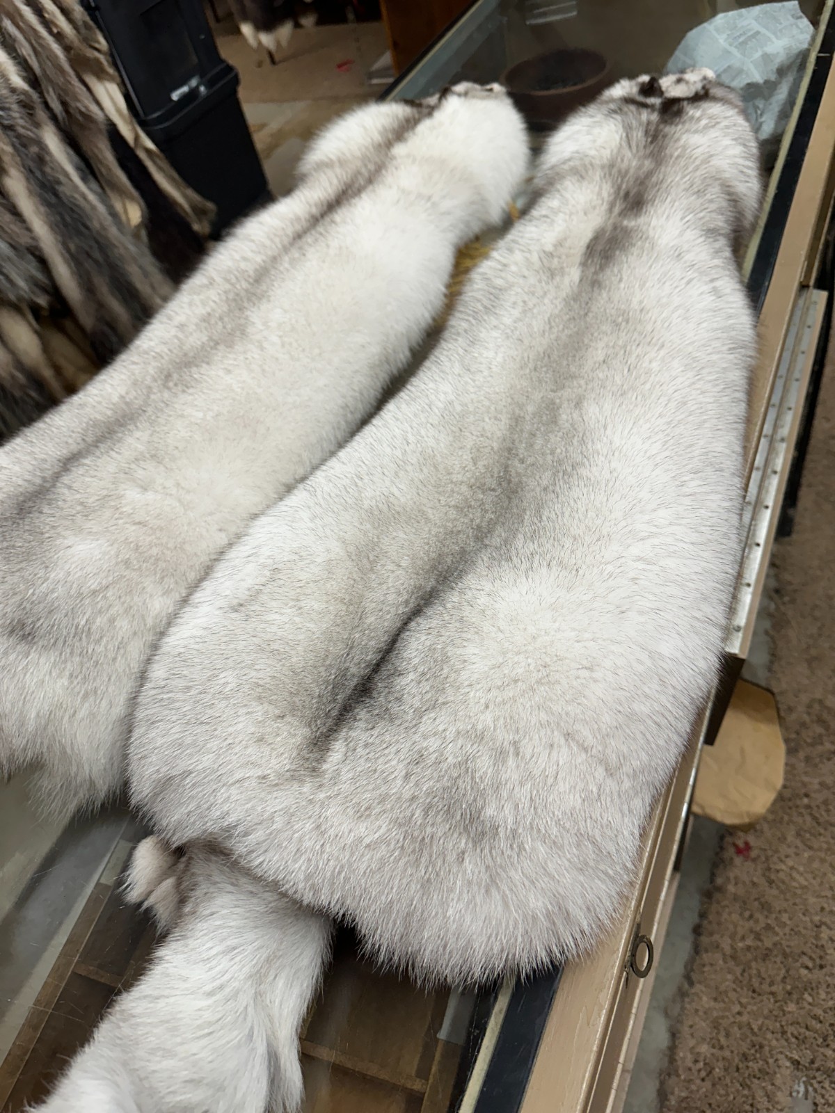 BLUE FOX EXTRA EXTRA HEAVY GORGOUS TOP OF THE LINE FROM NORWAY