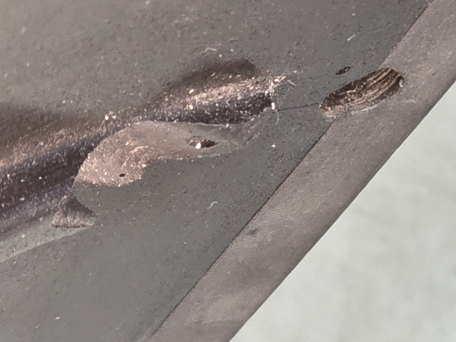 🔥 1 x JBL 2445J 16 ohms HF Horn Driver w/ 2380 Flare 2" Dia Professional Series