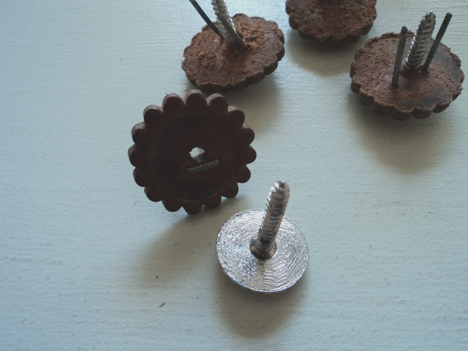 Four Western Saddle Conchos floral screw in w/leather rosettes