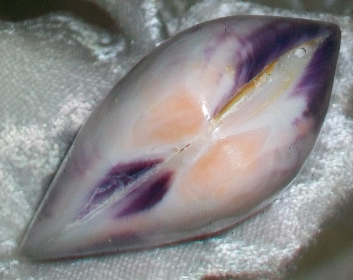 Hand Polished Violet Purple Saltwater Clam Clamshell Beach Nautical Table Decor