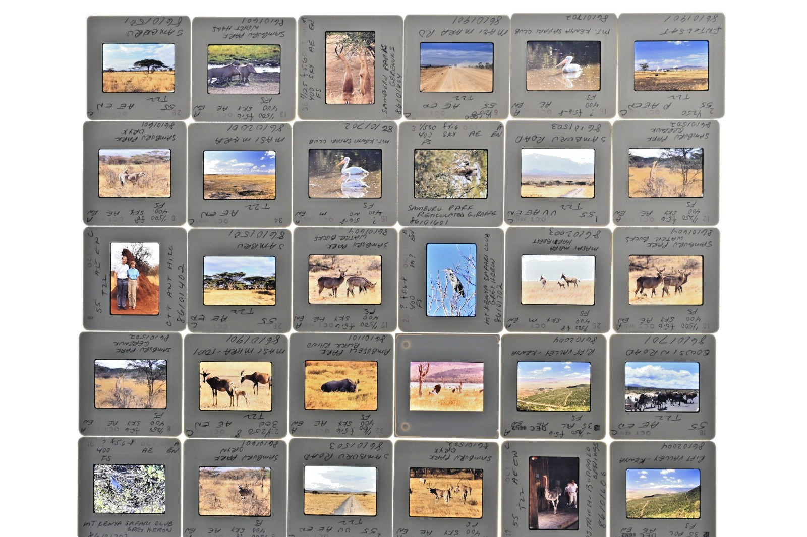 Vintage 1986 Kenya Safari Slides 120 Lot Wildlife Tribal Photo