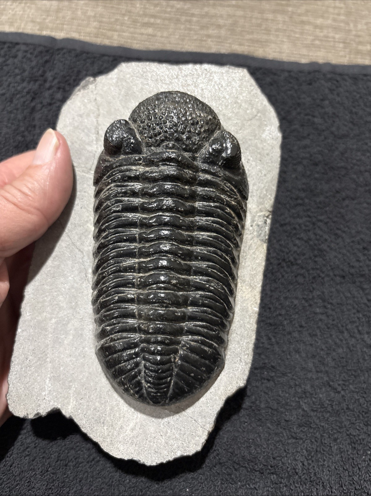 Really Nice Symmetrical 4 1/4+ Inches  A Bit Shiny Oddly Cut Underneath Drotops