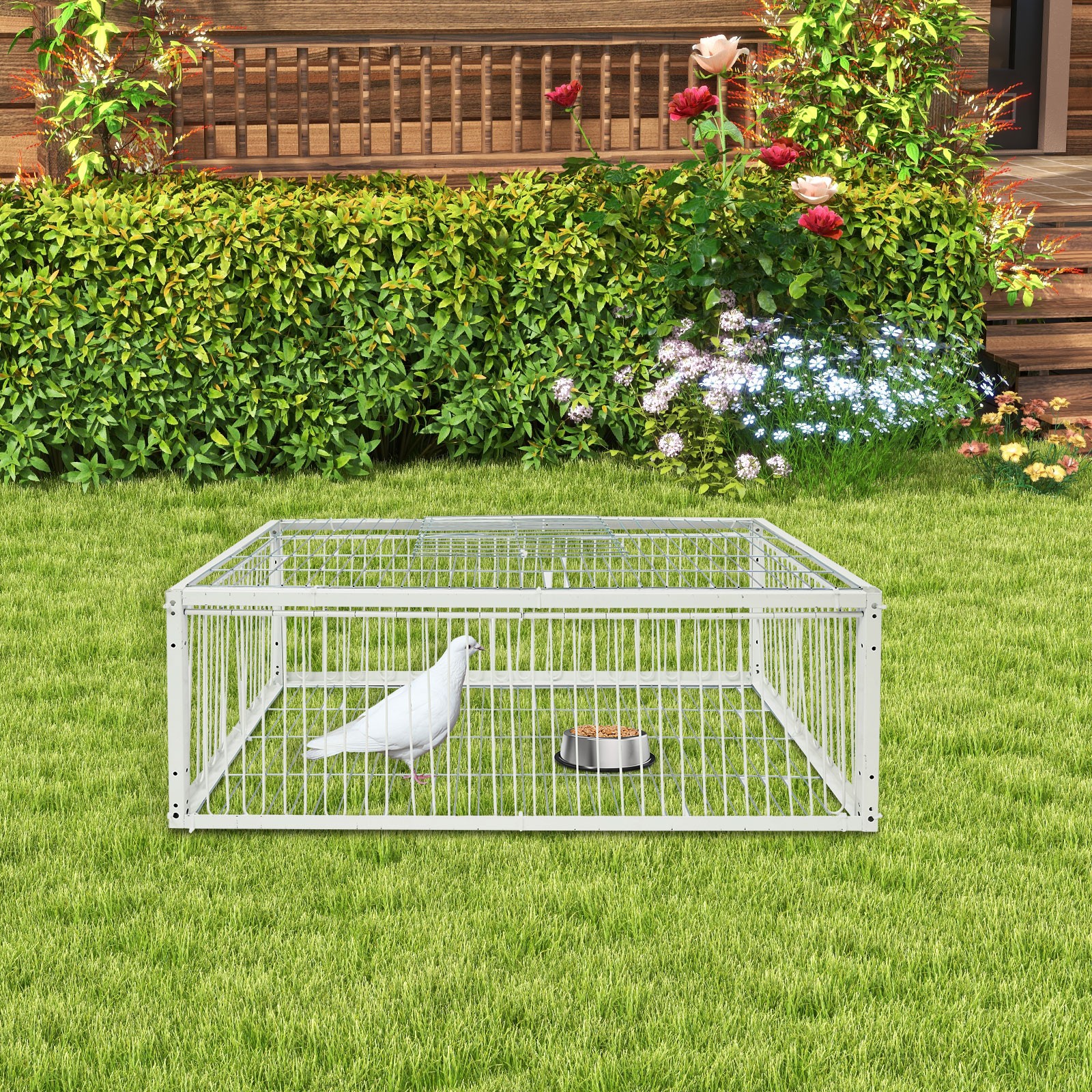 Pigeon Trap Cage, Pigeon Cage, Portable Escape-Proof Pigeon Trap Cage