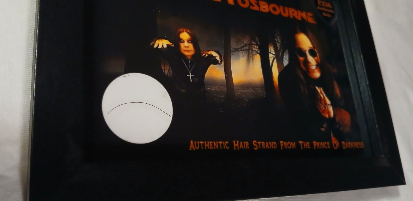 Authentic OZZY Osbourne Hair Strand Relic Memorabilia Collectible Rare w/COA