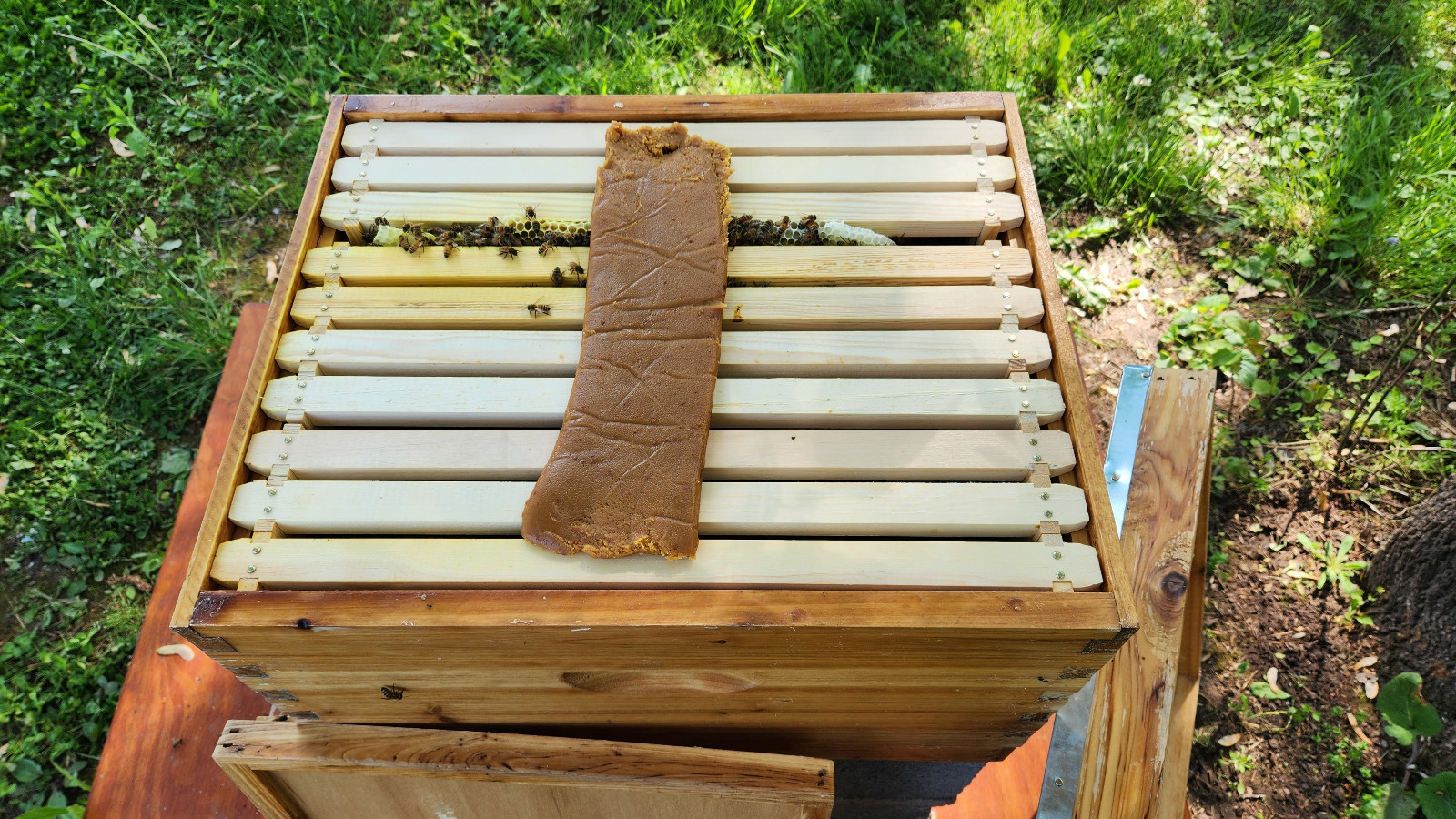 Pollen Pattie Ultra Bee Patties  1 LB  Bees  15 % Crude Protein NO INTERNATIONAL