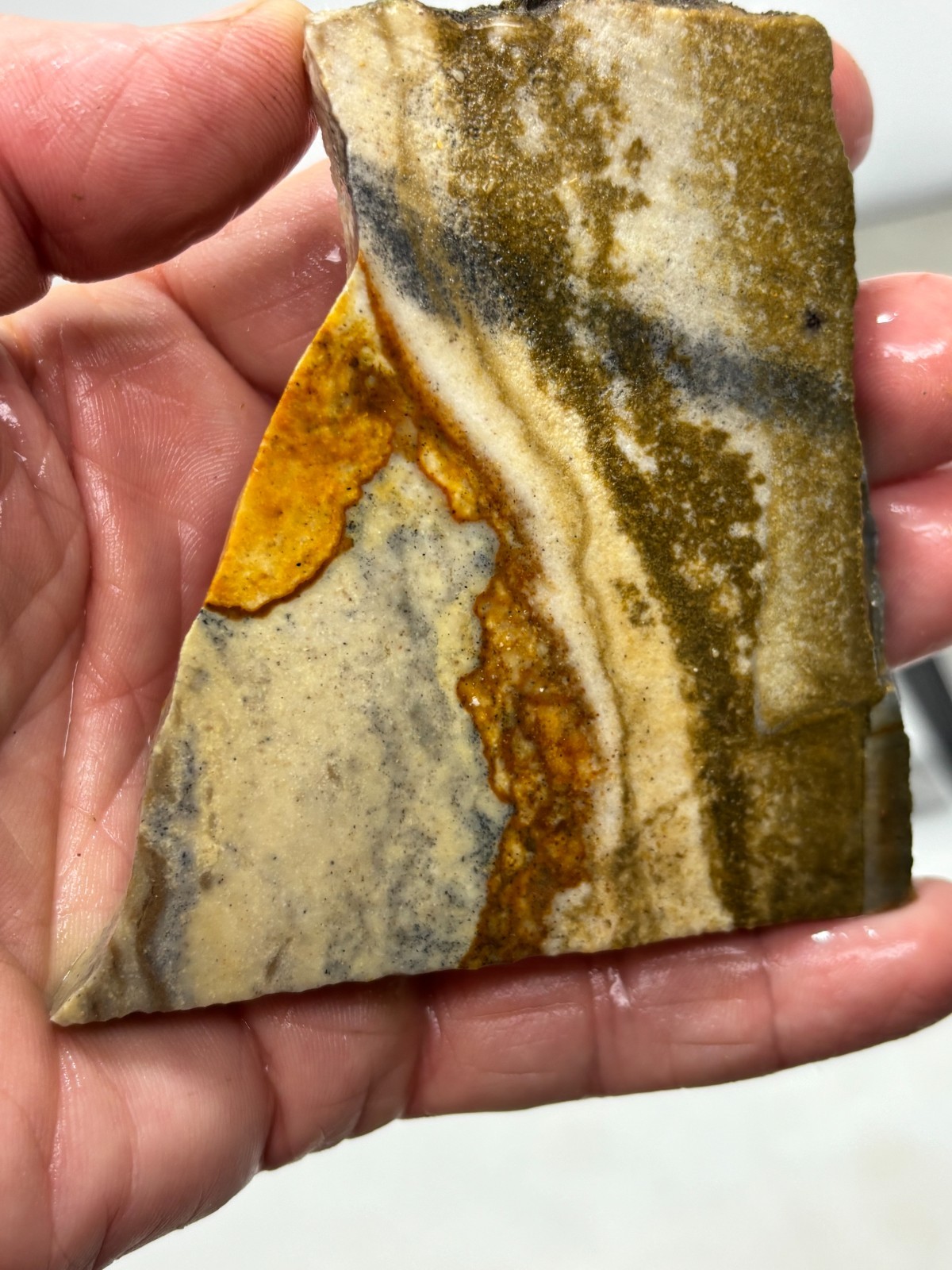 Disaster Peak Picture Jasper Slab Cabbing Lapidary Collecting Combo Ship Avail