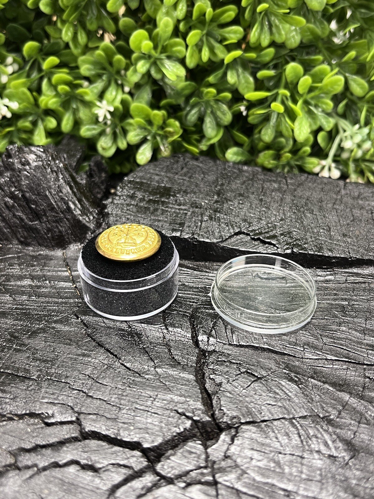 Old Rare Vintage Antique War Relic South Carolina Button Free Display Case