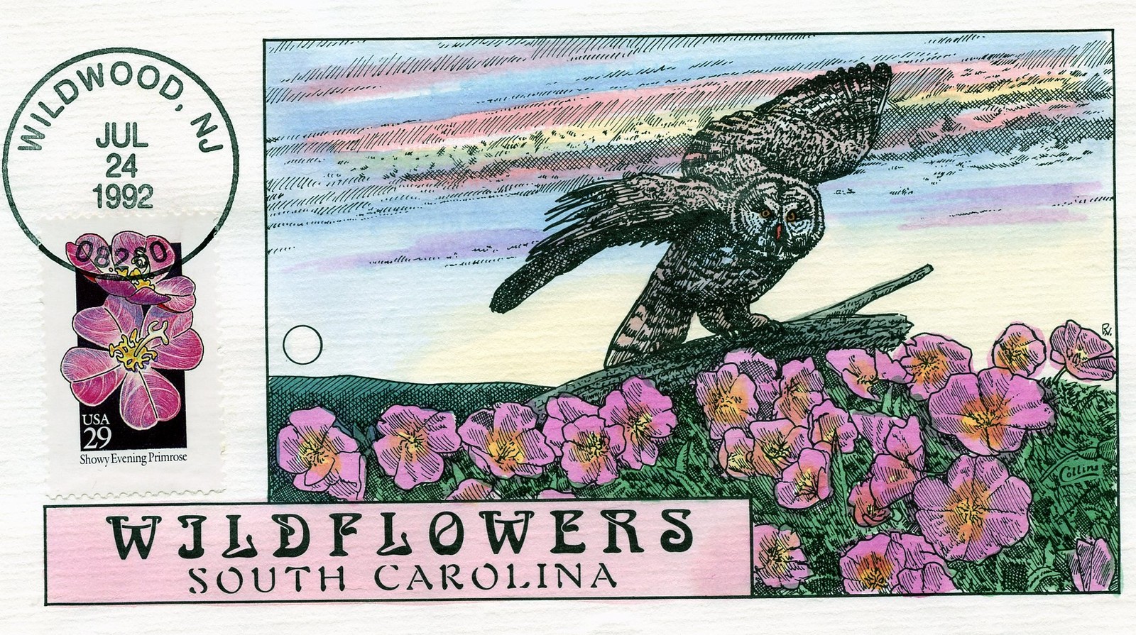 WWLF COLLINS FDC HAND PAINTED  STATE WILDFLOWERS  2671  SOUTH CAROLINA