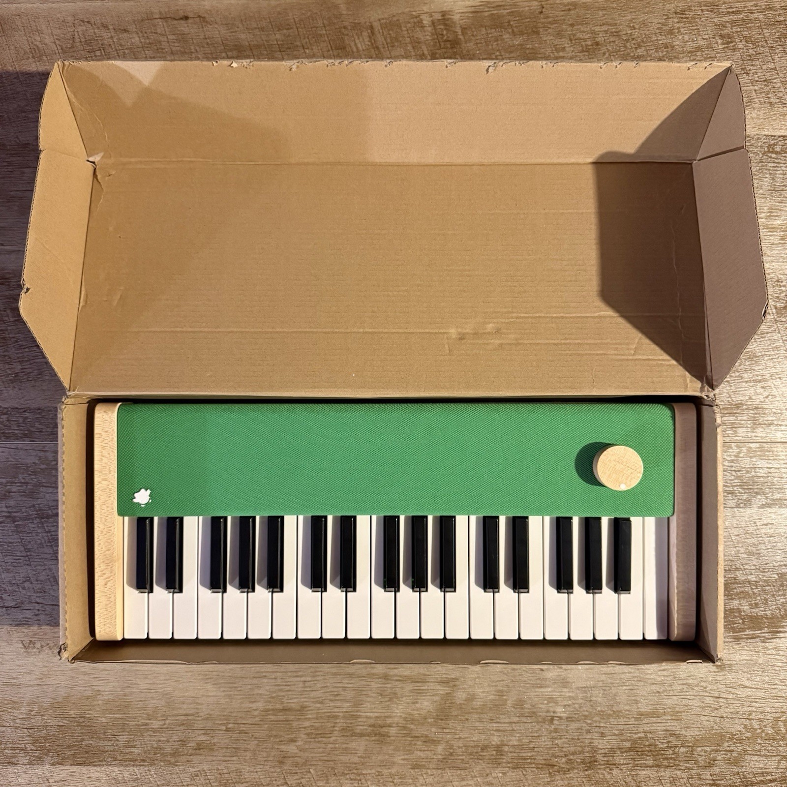 Loog x Dualingo Portable Digital Piano Green MIDI USB-C Used