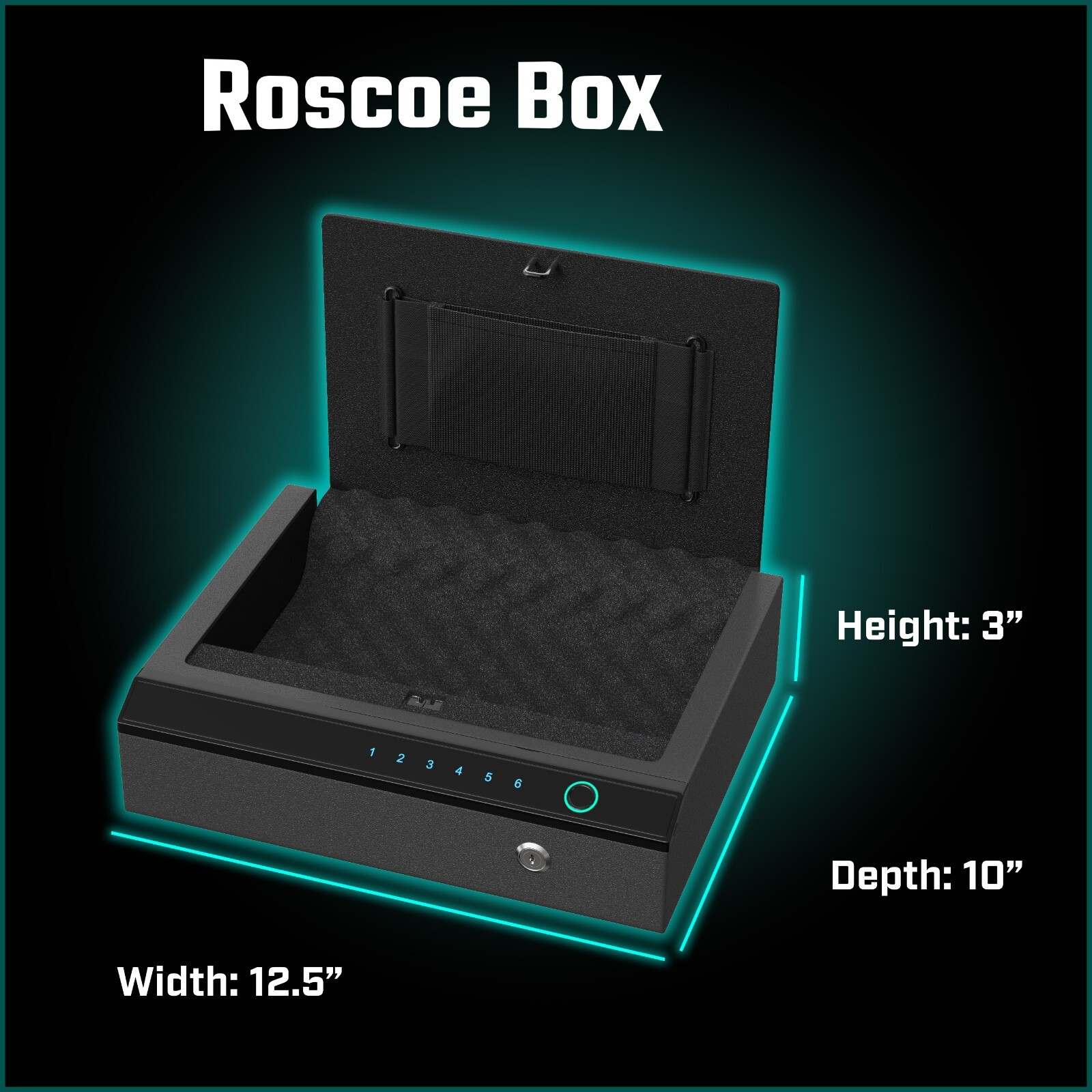 Roscoe Box Gun Safe Manual Key, Pin Keypad, Fingerprint, LED (Don't Tread On Me)