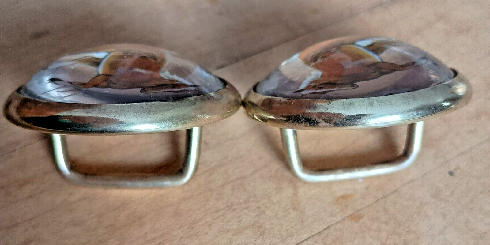 Bridle Loop Rosettes Haflinger for Headstall Harness Glass Dome and Brass