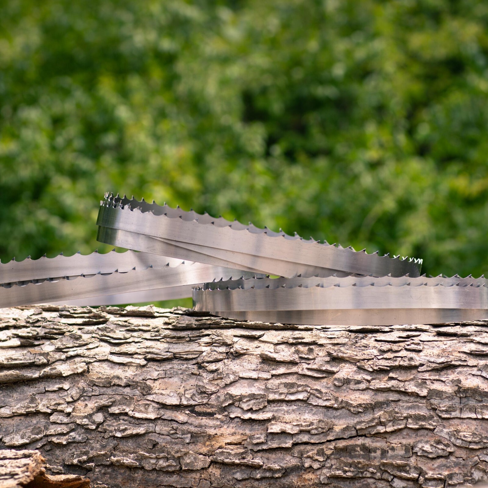 NEW Wood-Mizer 126" DoubleHard Sawmill Bandsaw Blades for LX30 Sawmills - 5 Pack