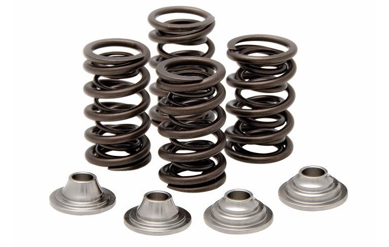 Suzuki LTR450 LTR 450 Kibblewhite +1 Race Intake Exhaust Valves Spring Kit Seals