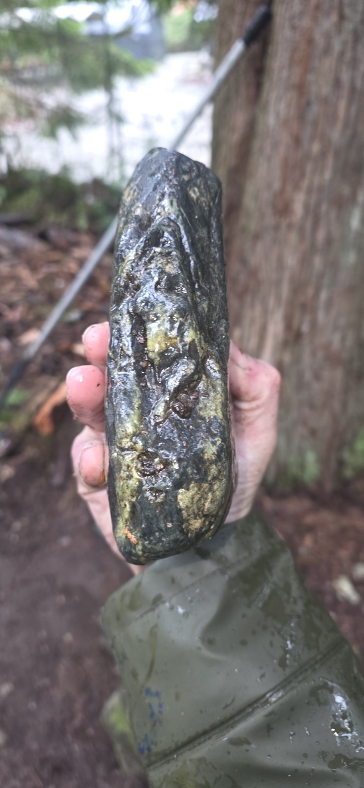 Nephrite Jade Rough Raw Green Rock Stone Washington State North Cascades Green