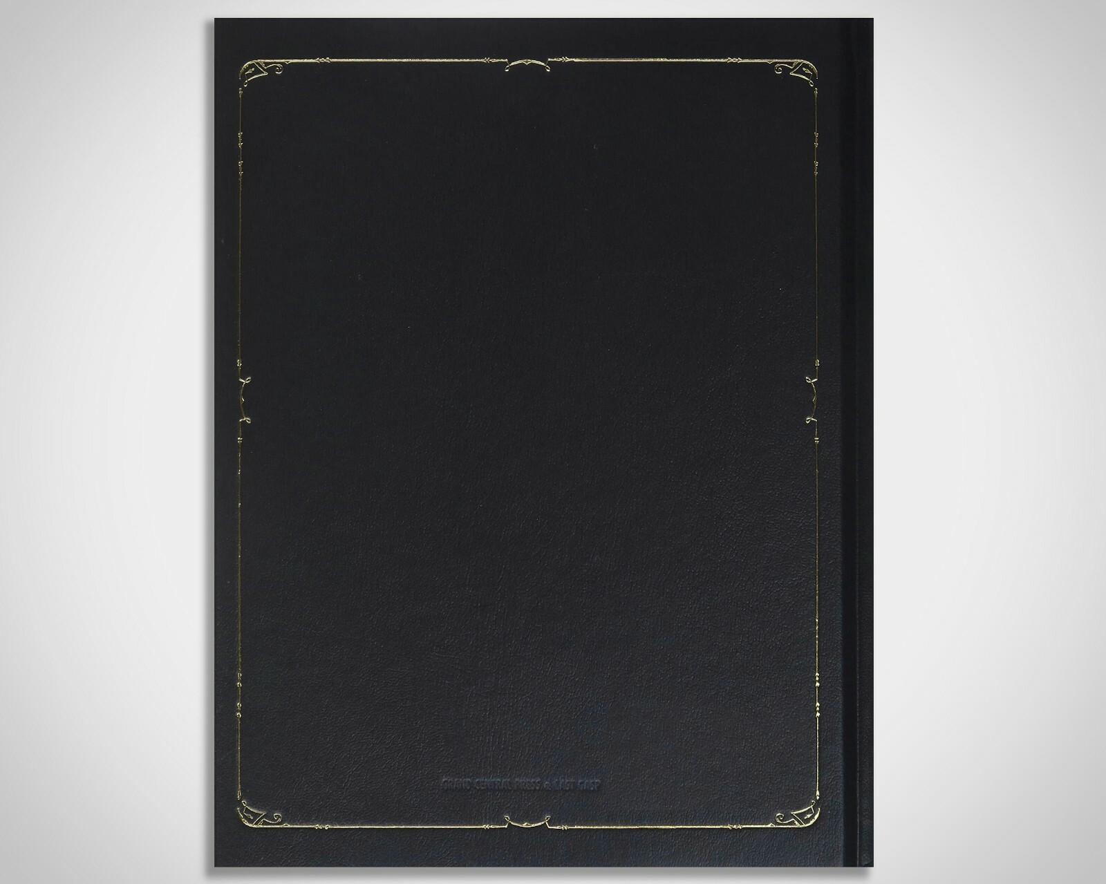 Post Mortem Book, Beyond the Dark Veil, Book of Death, Oddities, Curiosities