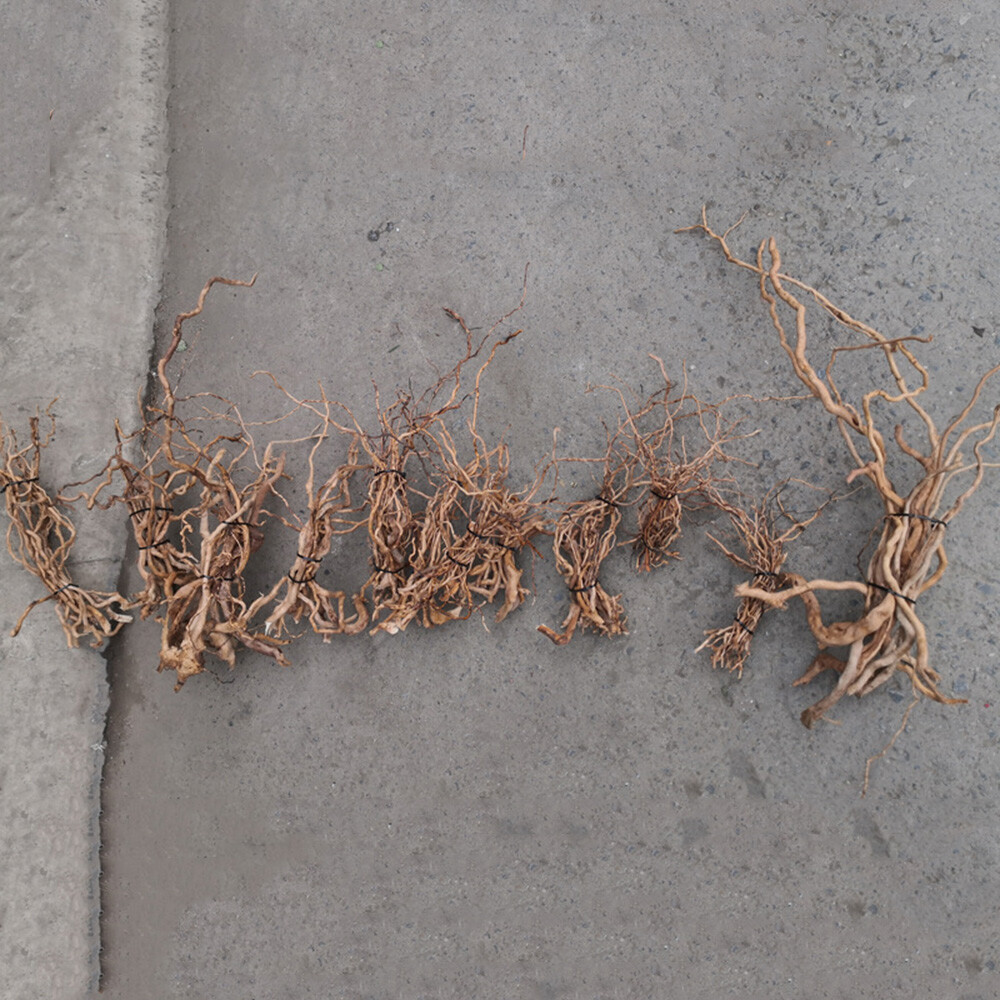 US Natural Driftwood Aquarium Root Trunk Tree Fish Tank Landscape Plant Roots