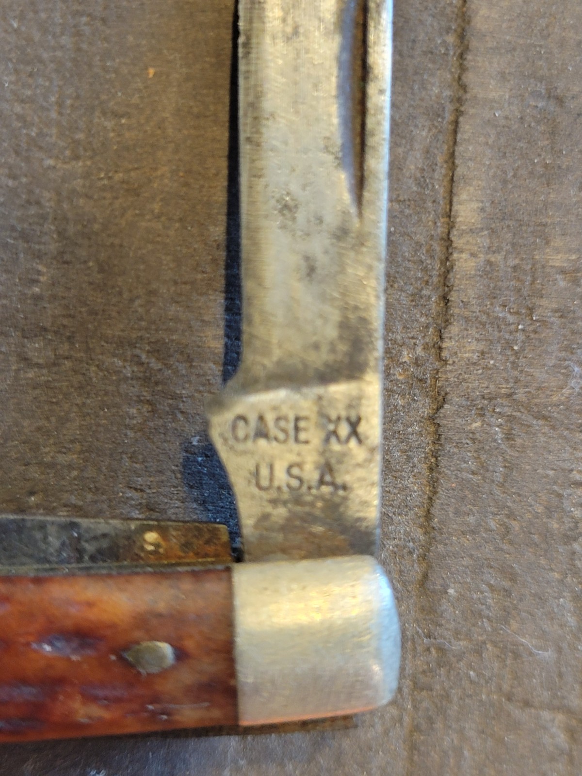 Case XX 6229 1/2 tadpole Pocketknife Two-Blade Brown Clip Pen