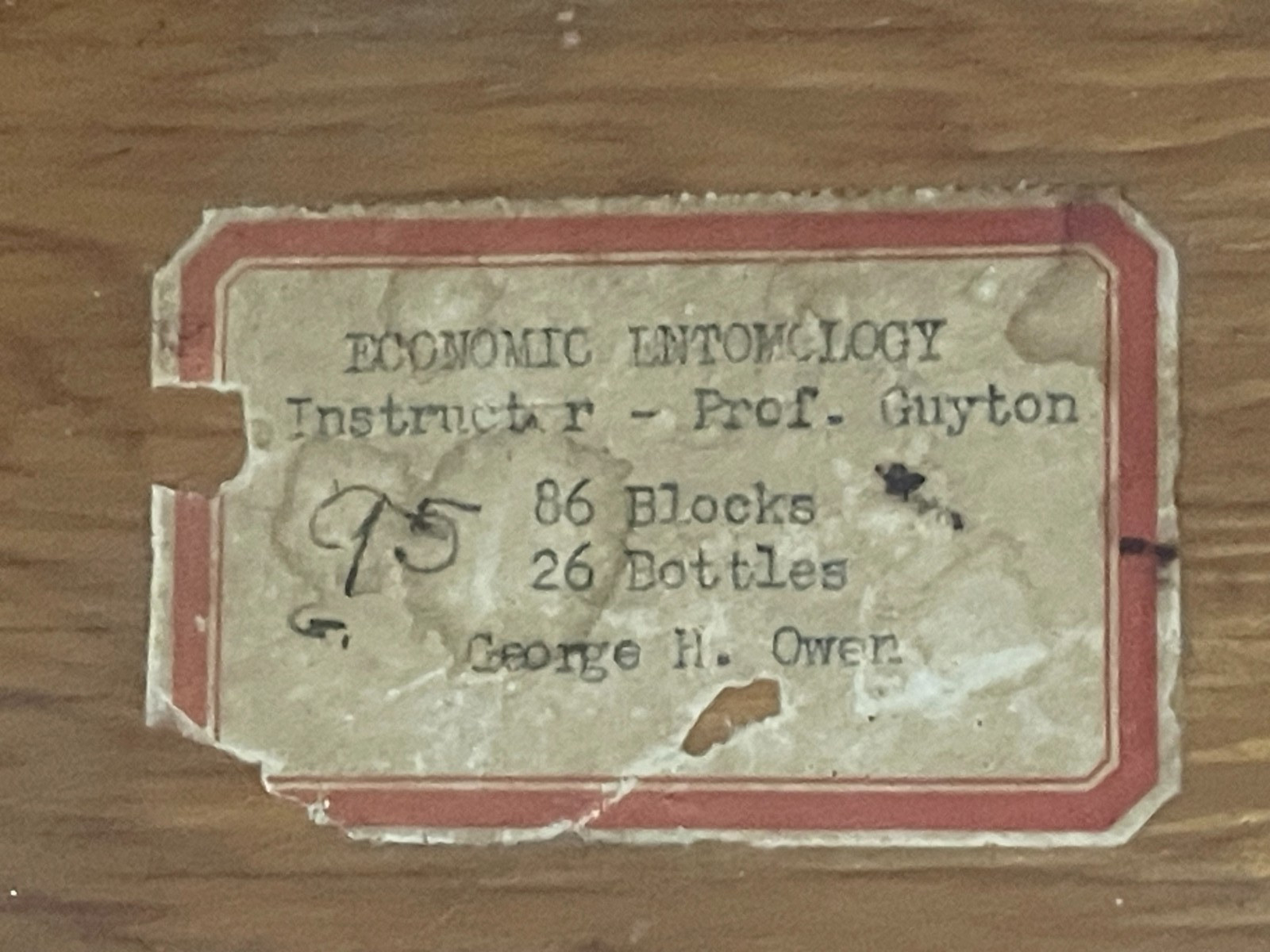 Entomology Slides Microscope Biology Insects With Box 1950's