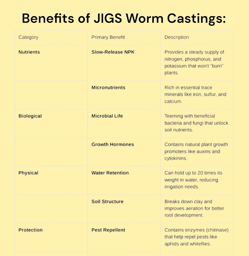 (JIGS) LIVE Red Wiggler Composting Worm Mix Approx 1,000 (1 LB) Voracious Eaters