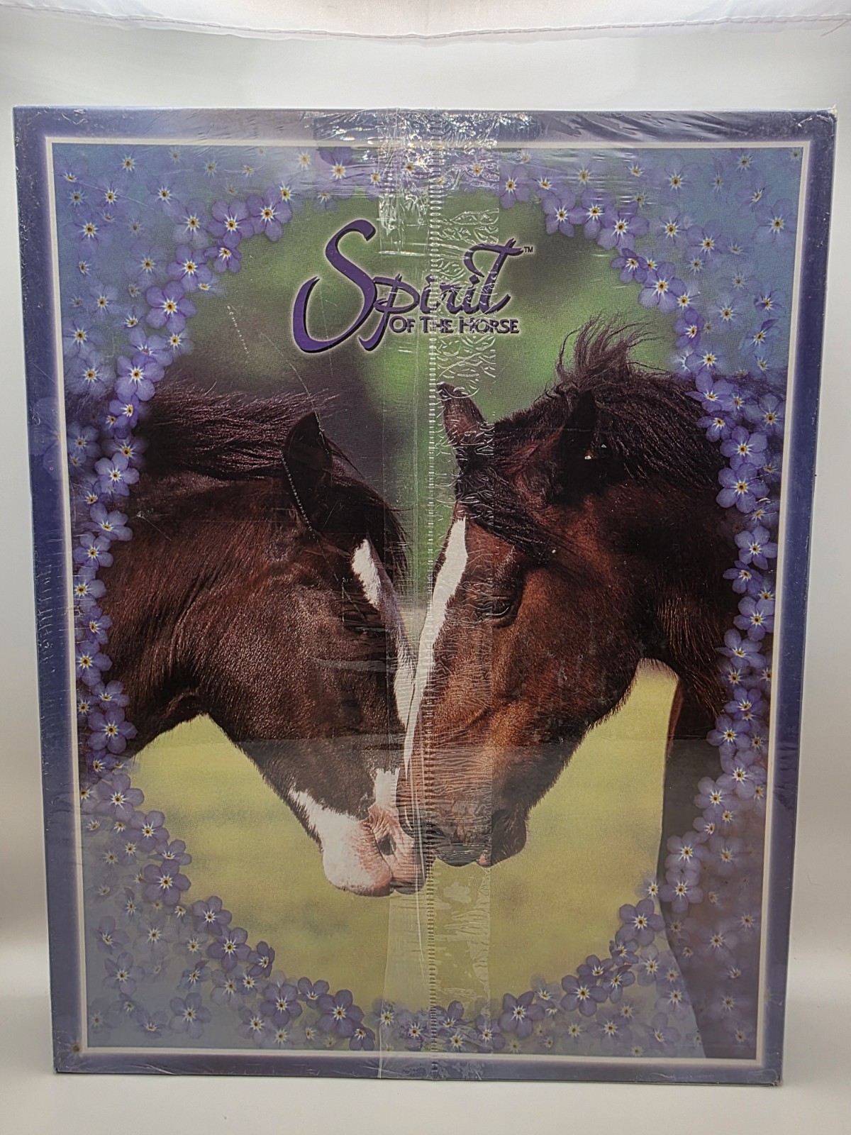 Spirit of the Horse Gift Box Stationery Set Journals Memo Books Pencils NEW