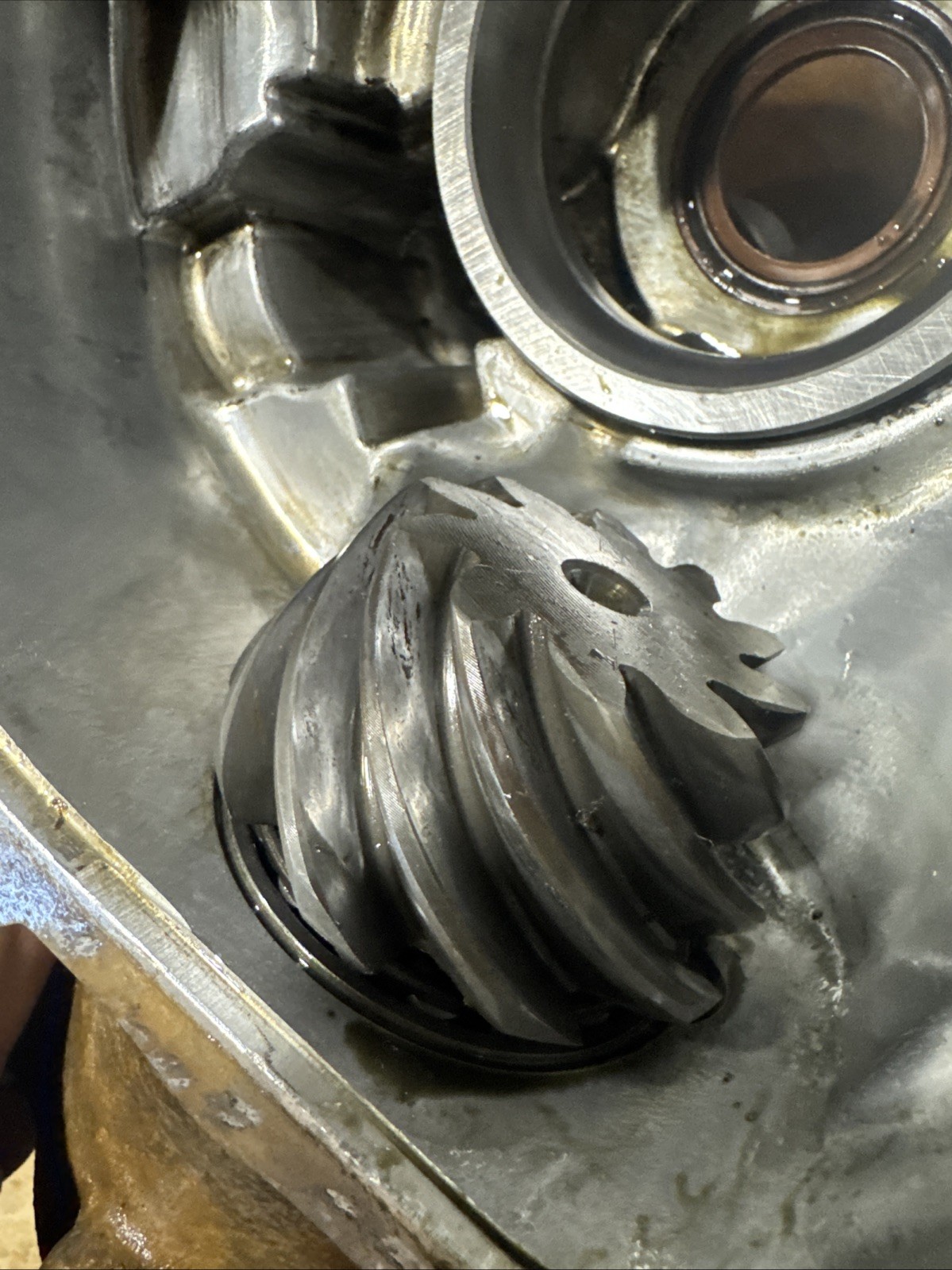 polaris ranger rzr 800 rear differential 2010