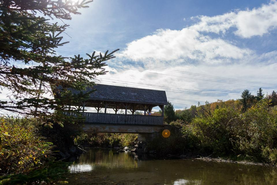 Maple sugar candy in decorative tin 1 lbs. 1/2 lbs.