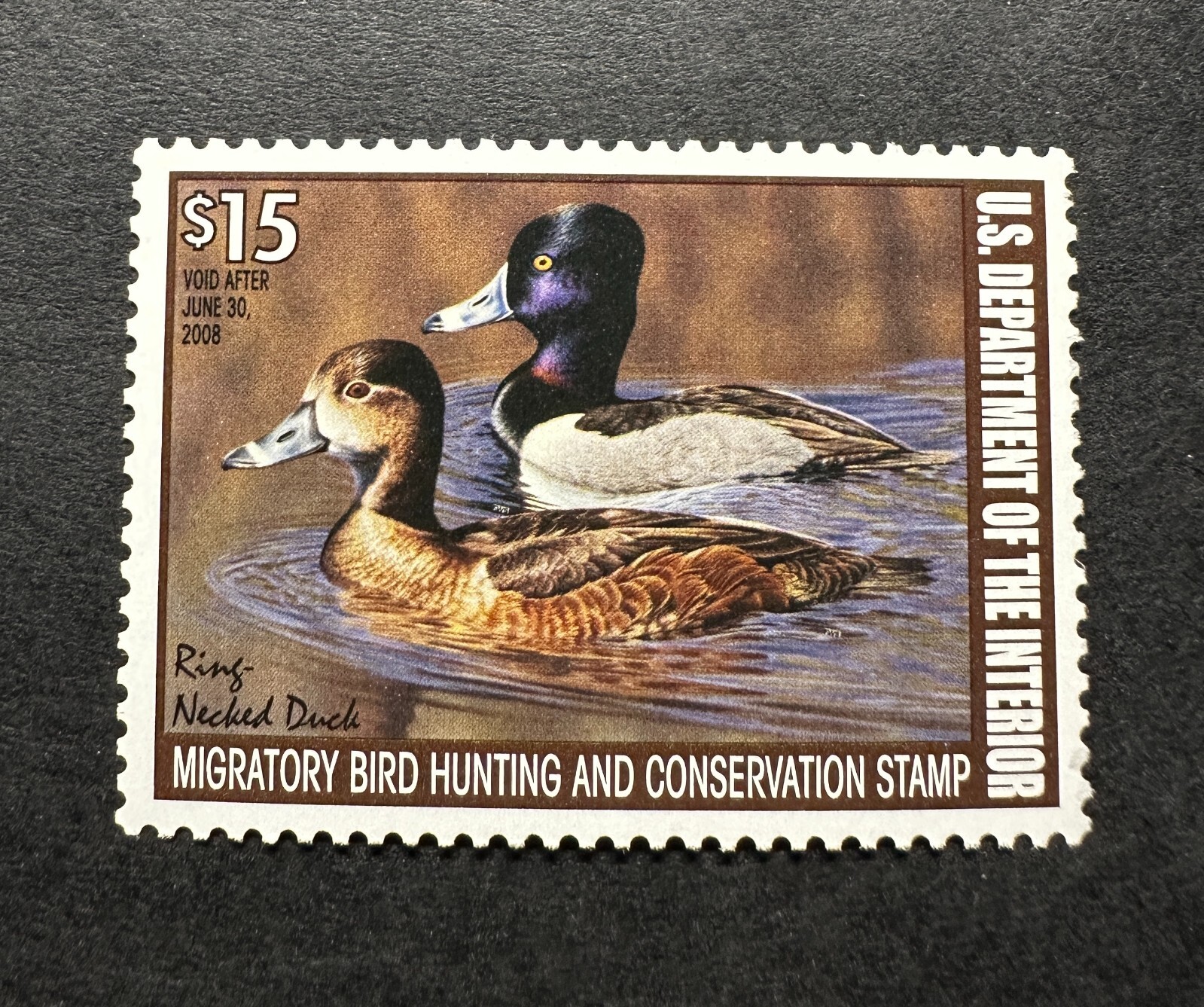 WTDstamps - #RW74 2007 - US Federal Duck Stamp - Mint OG NH