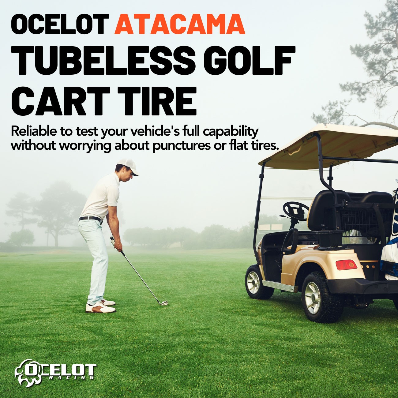 Ocelot Atacama A/T 22x11-12 Golf Cart Tire - Set of 4