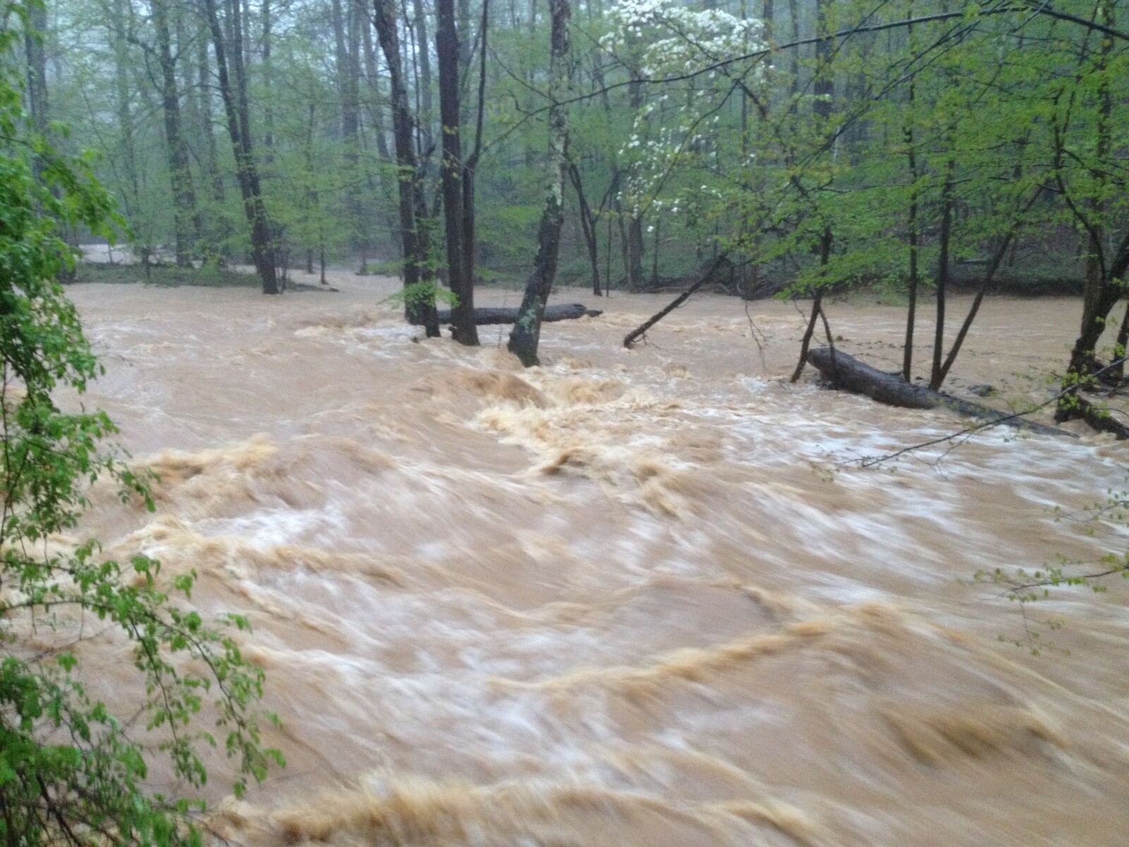 Approximately 20-35lbs US Gold Nugget Pay Dirt Free Shipping Paydirt