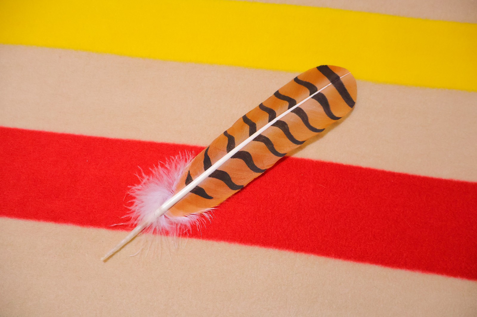Native American hand painted Red-Tailed Hawk Feather