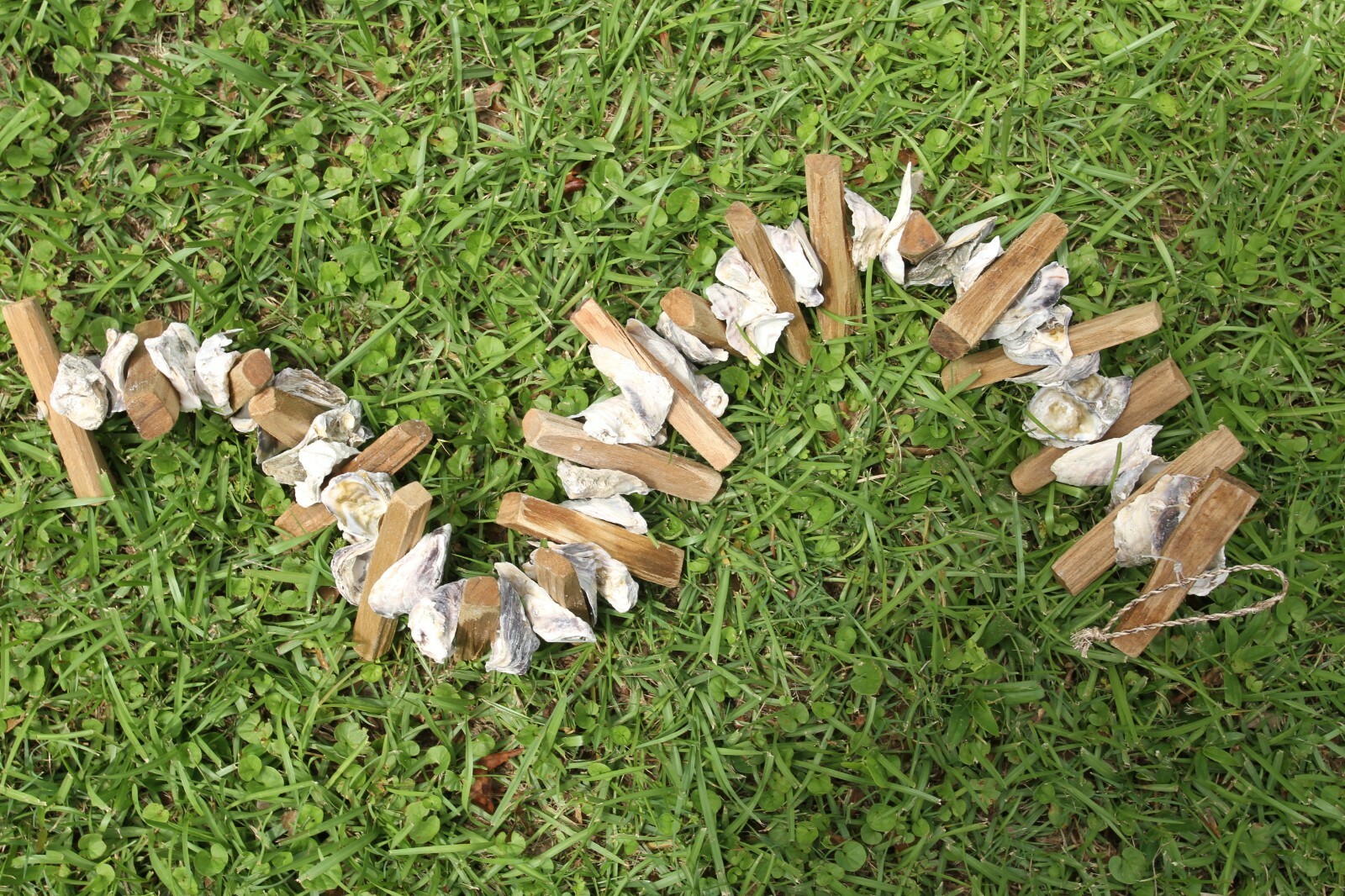 Oyster Bar Hanging Decor Oyster Shells Driftwood Garland, Natural, 33"+ G-83