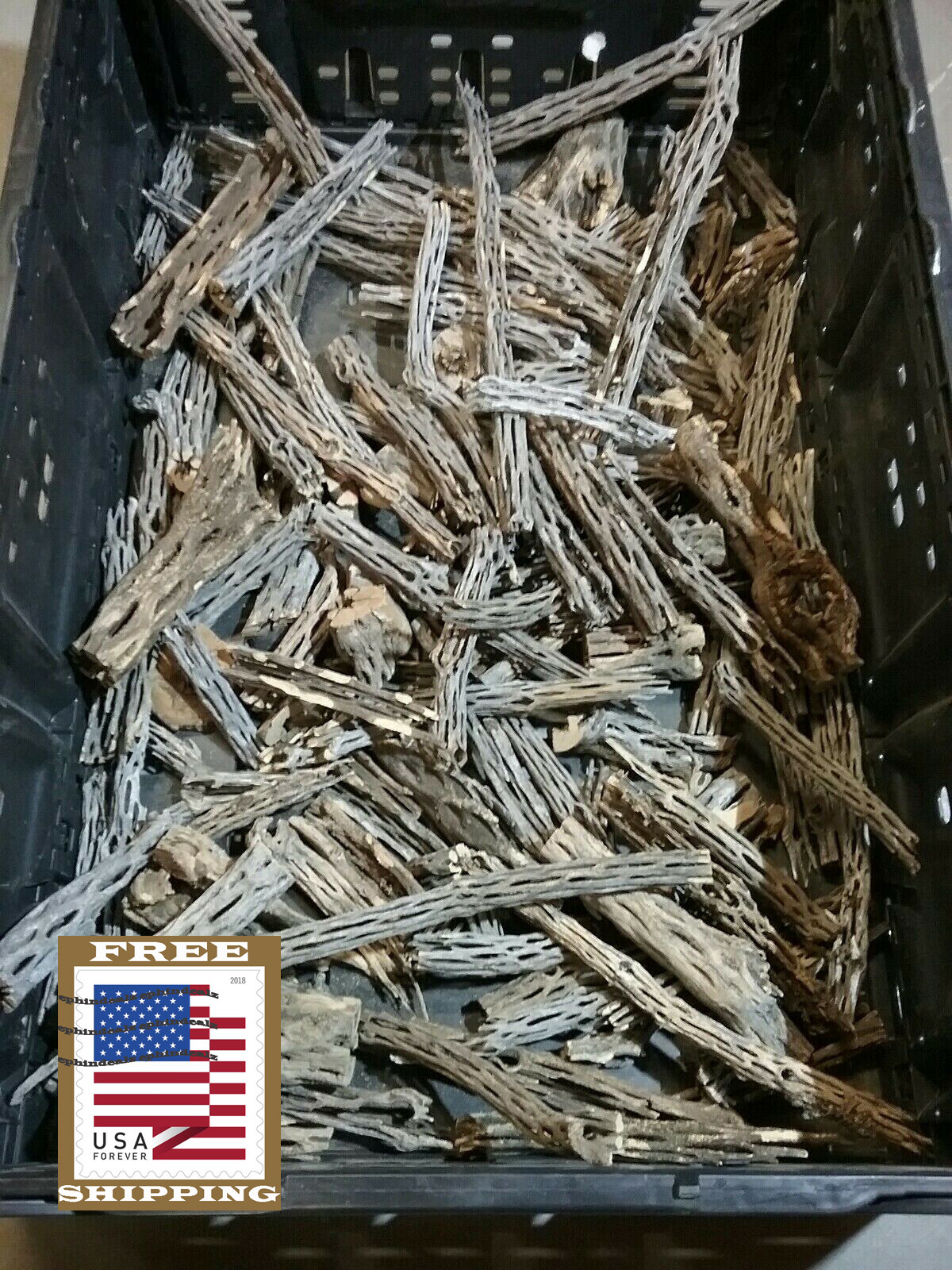 2+ LBS CHOLLA Wood CUTOFFS | Whole Pieces Split Halves Bits | Aquarium, Crafts