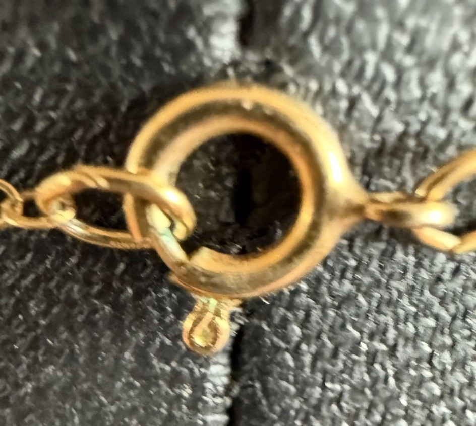 Petoskey Stone Hand Polished Pendant Necklace 1/20 GF 18” Chain