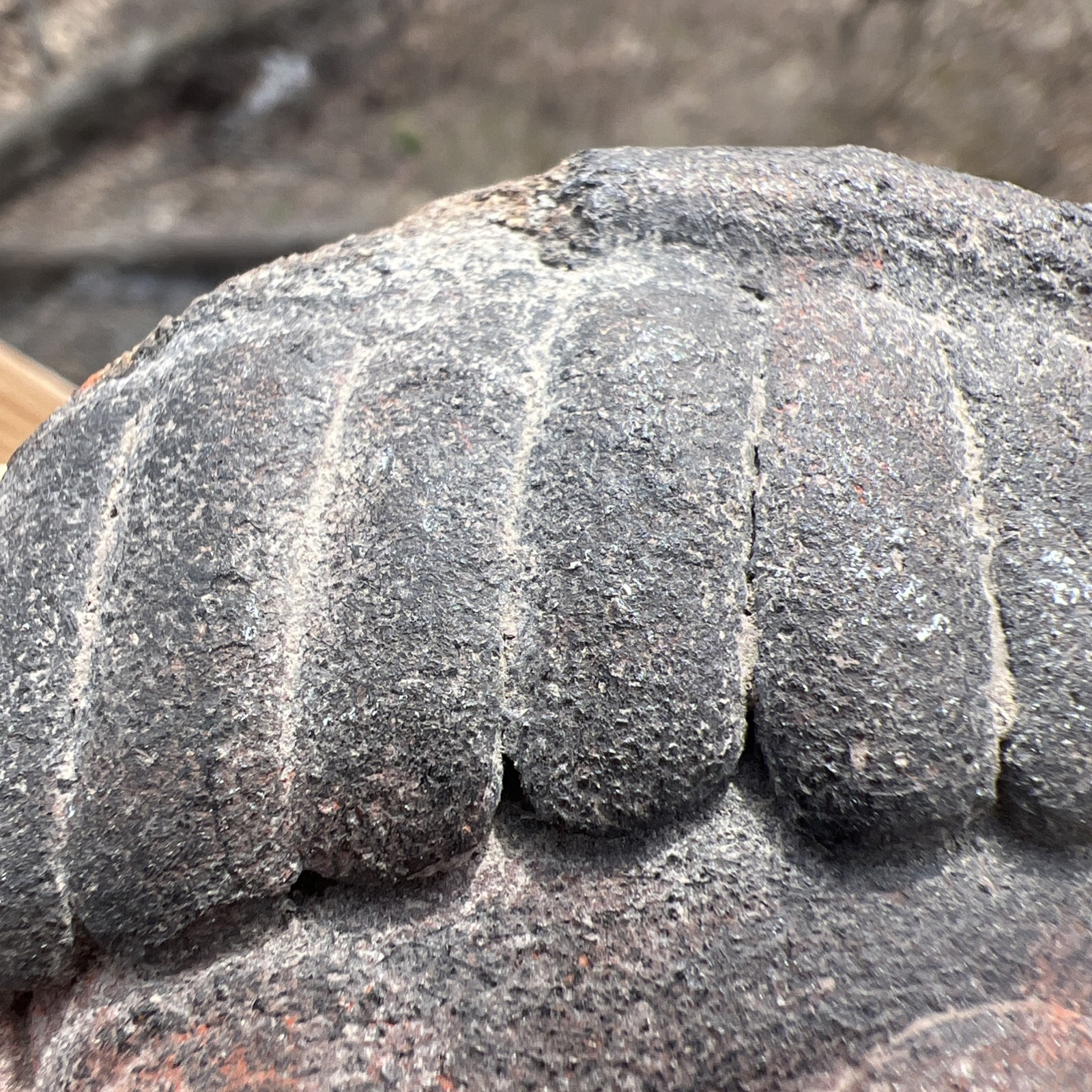Carved STONE HEAD/EFFIGY May Be Mayan