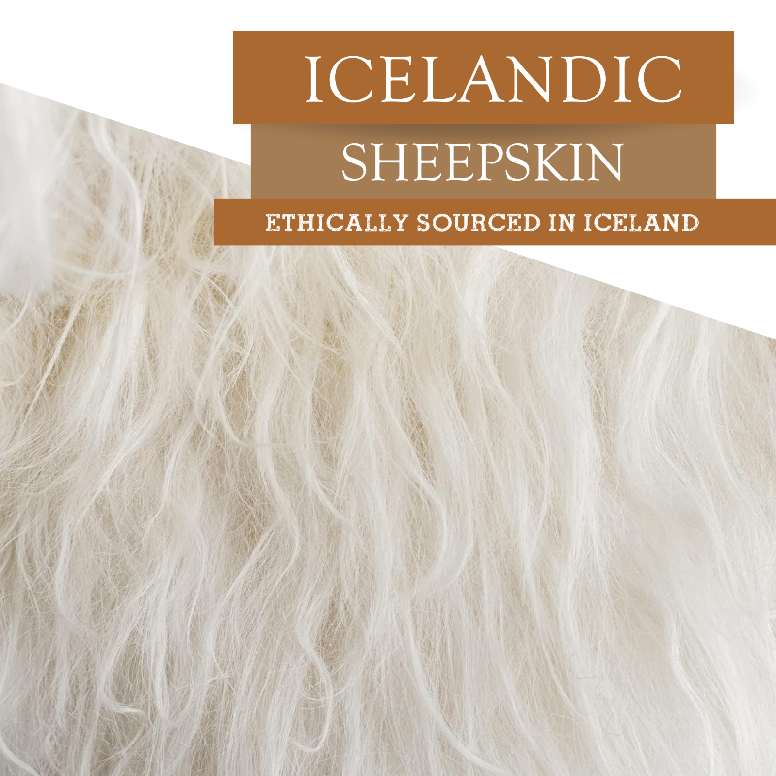 Real Icelandic Sheepskin Rug Natural White - Size 2 x 3-4' Long Hair