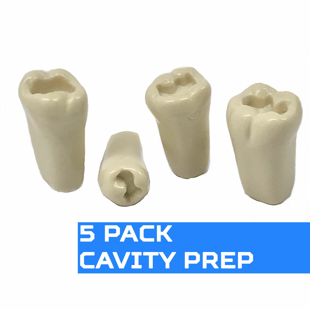 Replacement Teeth Typodont 860 (5 pack) Compatible With Columbia Brand