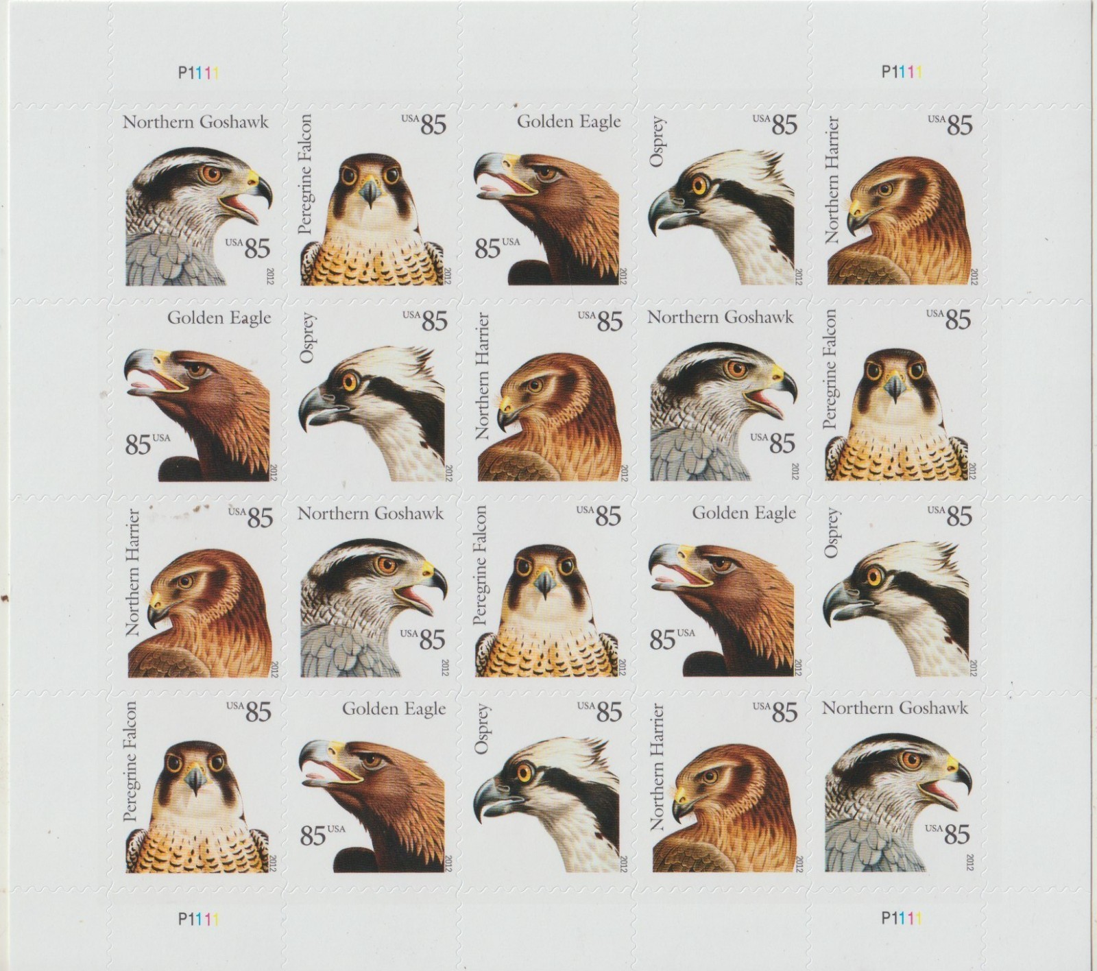 USPS  BIRDS OF PREY PEEL and STICK Sheet of 20-85 CENT Stamps Sent from OKC, OK