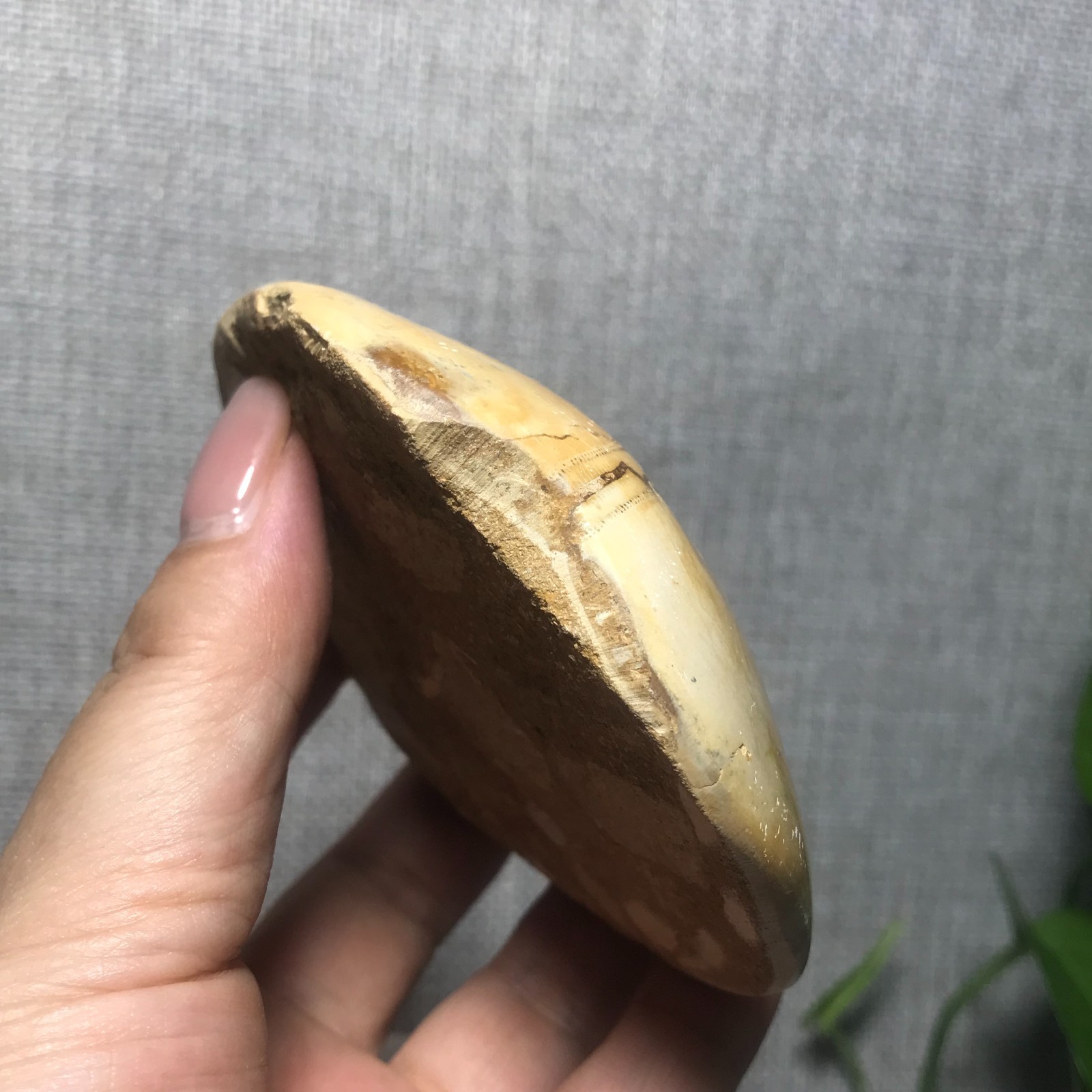 226g Starfish Crystal Specimen 01