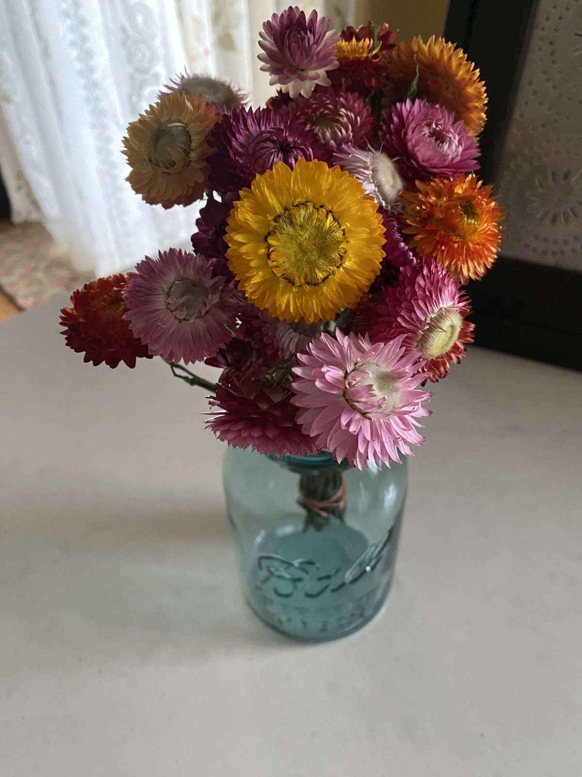 Beautiful STRAWFLOWERS Mix Assorted Bunch BOUQUET Bundle DRIED Flowers USA Auc#1