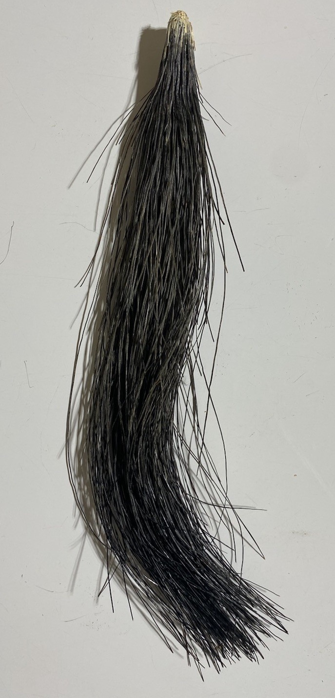 Lot Of 4 Eastern Wild Turkey Beards - Turkey Hunting 7-10” Gobbler Taxidermy