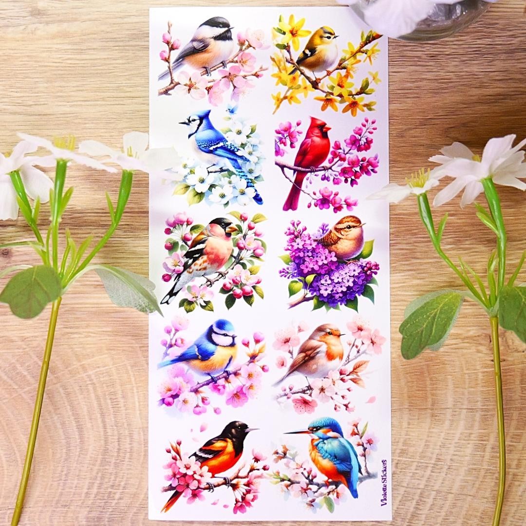 Violette Stickers - Colorful Birds & Flowers Sticker Sheet - Planners & Crafts