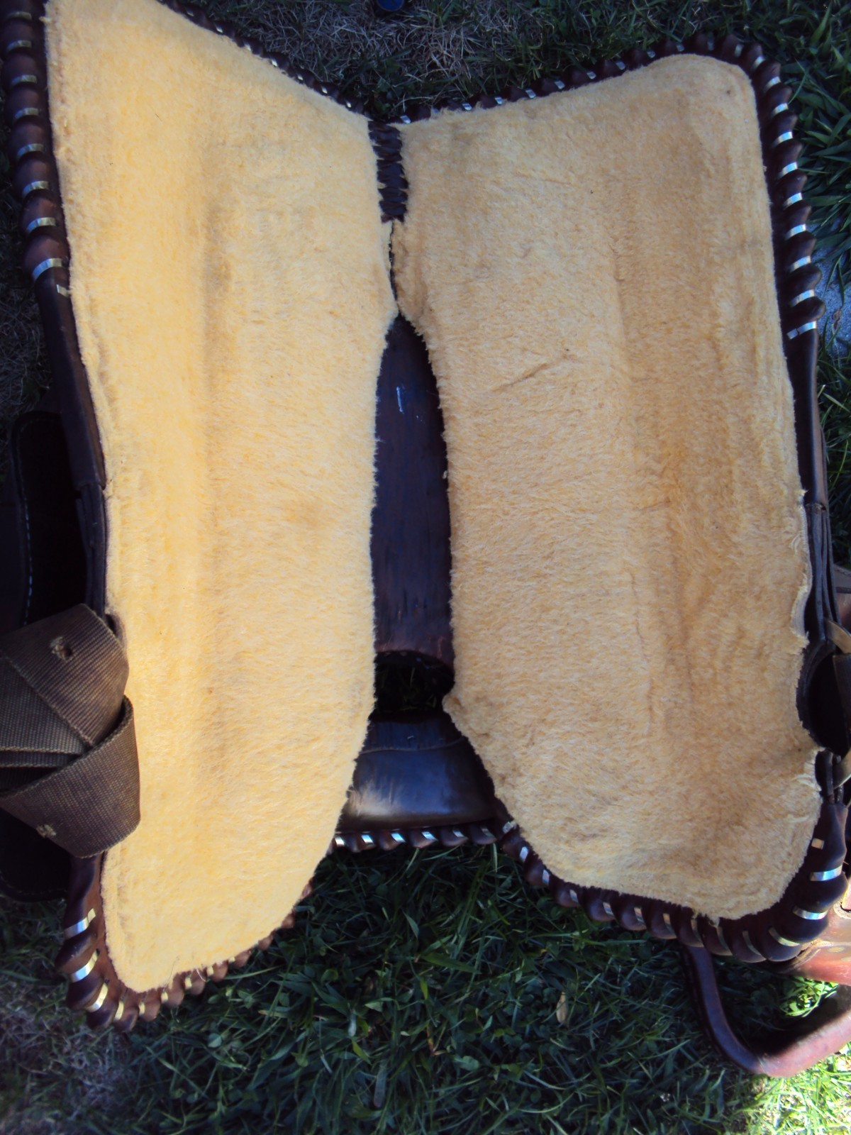 CIRCLE Y Western Show Saddle - 15" - SILVER CONCHOS - Padded Seat - BEAUTIFUL!