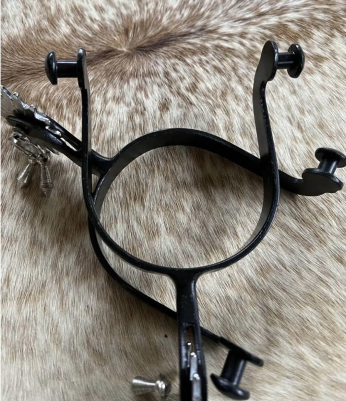 Adult Size Black Steel Spurs with Jingle Bobs On Oversized Silver Rowels PAIR